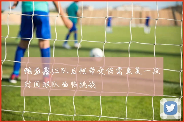 鲍盛鑫归队后韧带受伤需康复一段时间球队面临挑战